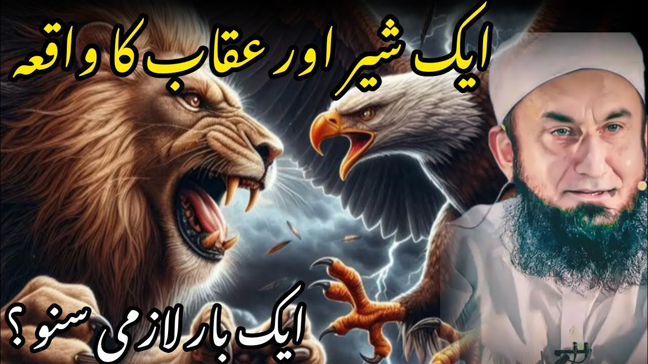 Tariq Jameel Emotional Bayan | Aik Lion aur Eagle ka Waqia | New Islamic Bayan 2025