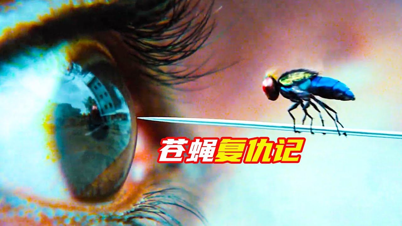 男人轉世成蒼蠅，上天入地無所不能；奇幻喜劇，功夫小蠅，解説