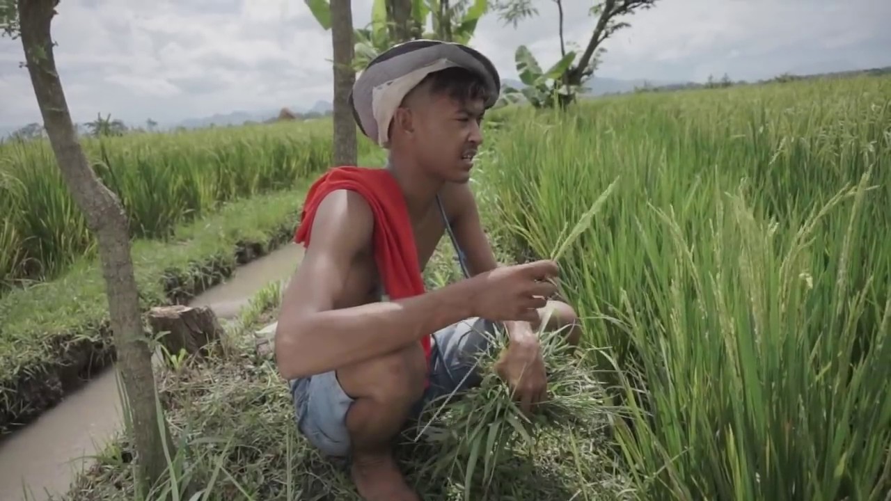 Pacobaning Urip Kudu Sabar, Potret Anak Desa Episode 3