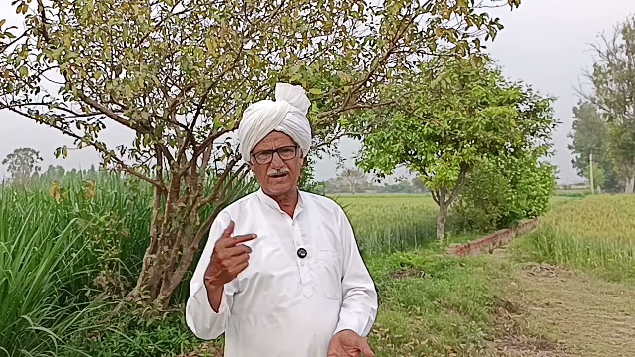 पत्नी की मौत हुई उसी की गलती से फंसा दिया बेकसूर पति गिरे हुए लोग झूठ बोल कर लेने लग गए लाश के भी पै
