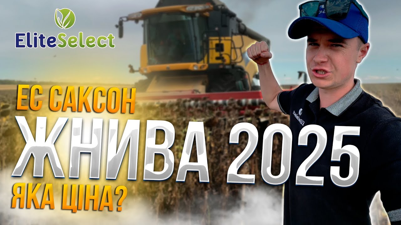 Уборка 2025 ЕС Саксон. Ціна на соняшник 2025 