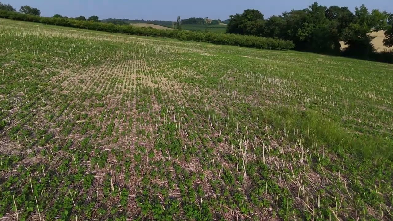 &Eacute;volution du semis direct de soja depuis le 02/05/25