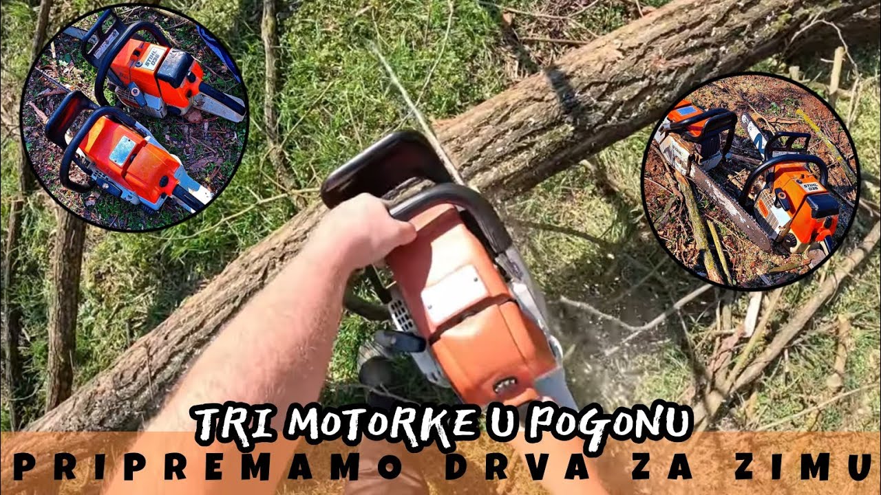 UDARNICKI S TRI MOTORNE PILE, IZRADA DRVA ZA IDUCU ZIMU / AGROVLOG /#106