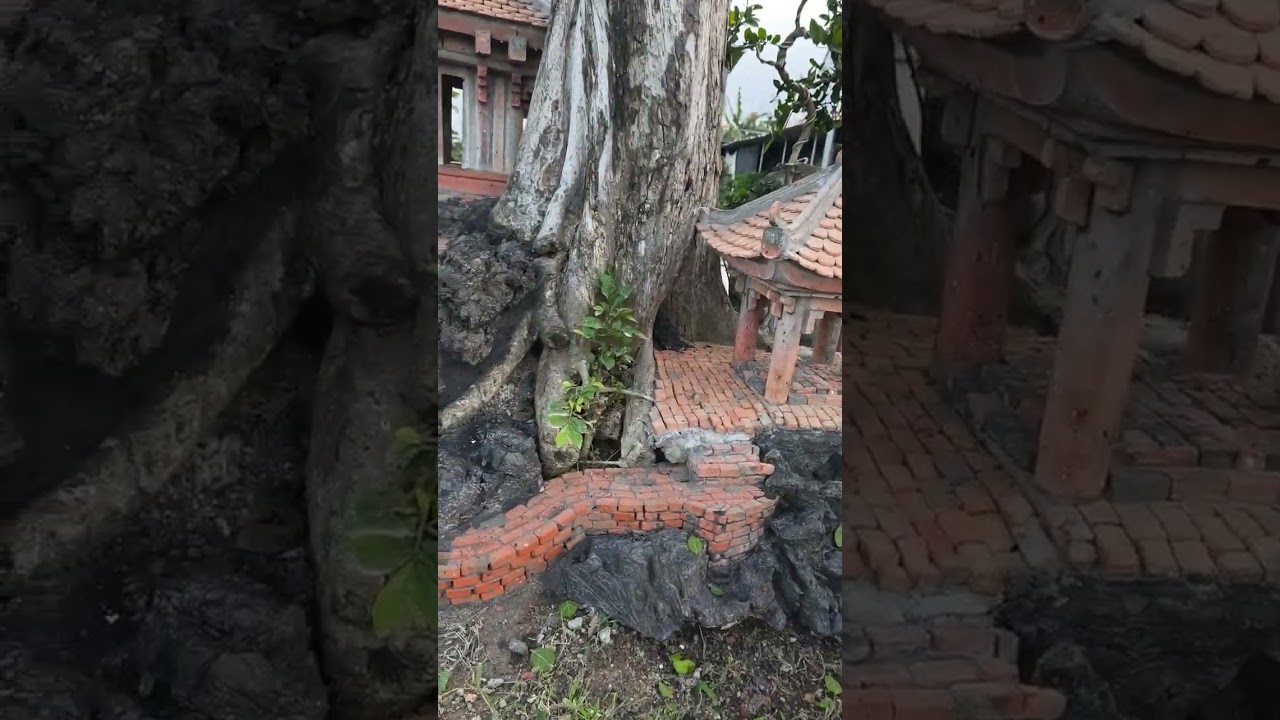 Bàn giao cho anh khách mến yêu 