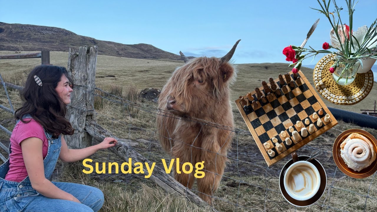 My perfect Sunday living on a Scottish Island | Coffee shop, Highland Cows, Reading + Cinema | ad