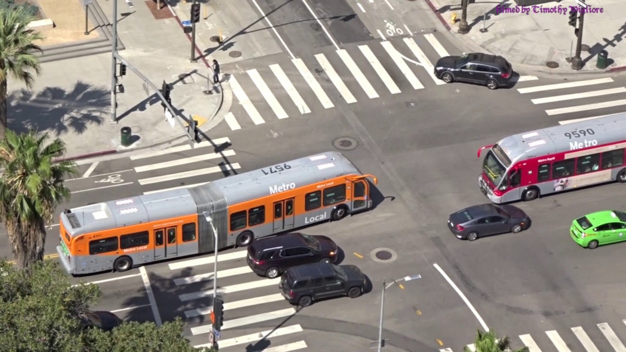 Buses in Los Angeles, California 2018