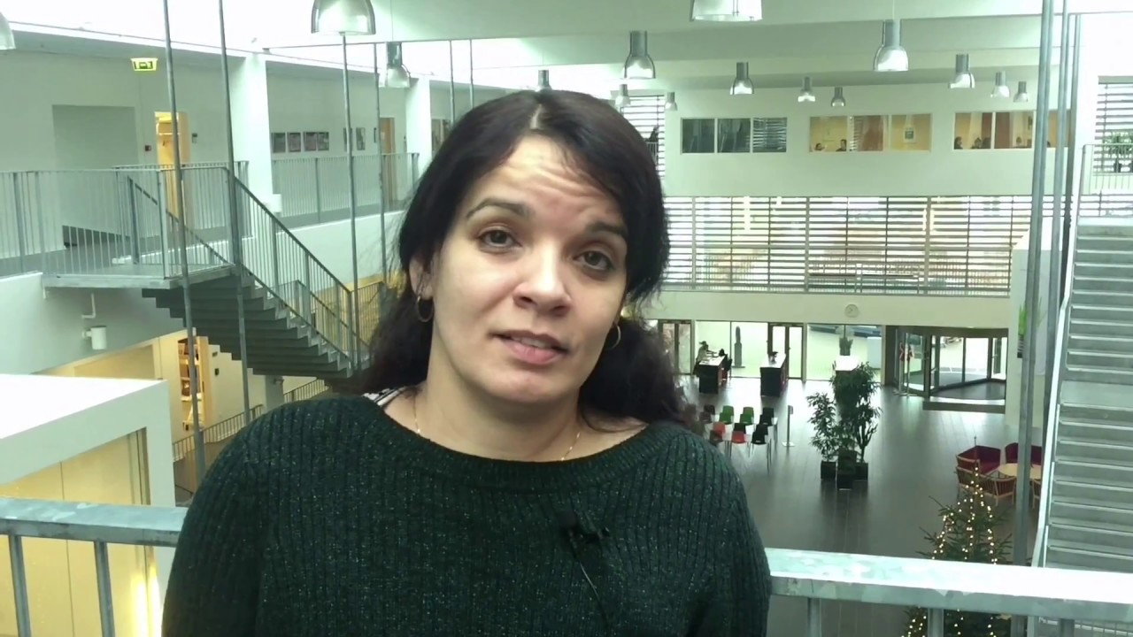 Forberedelseskursus for indvandrere og flygtninge
