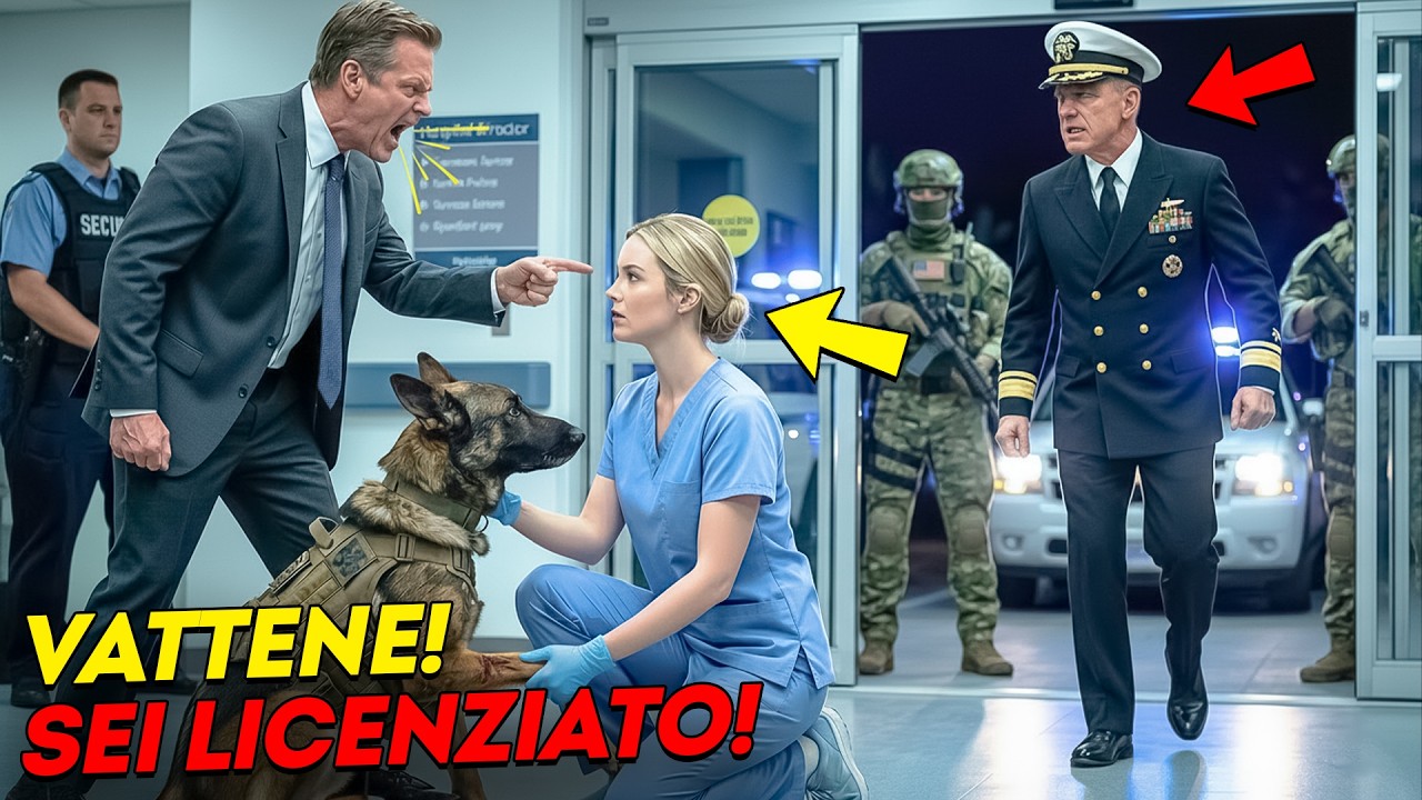 Giovane infermiera licenziata per aver aiutato il K9 di un veterano — arrivano i Navy SEAL