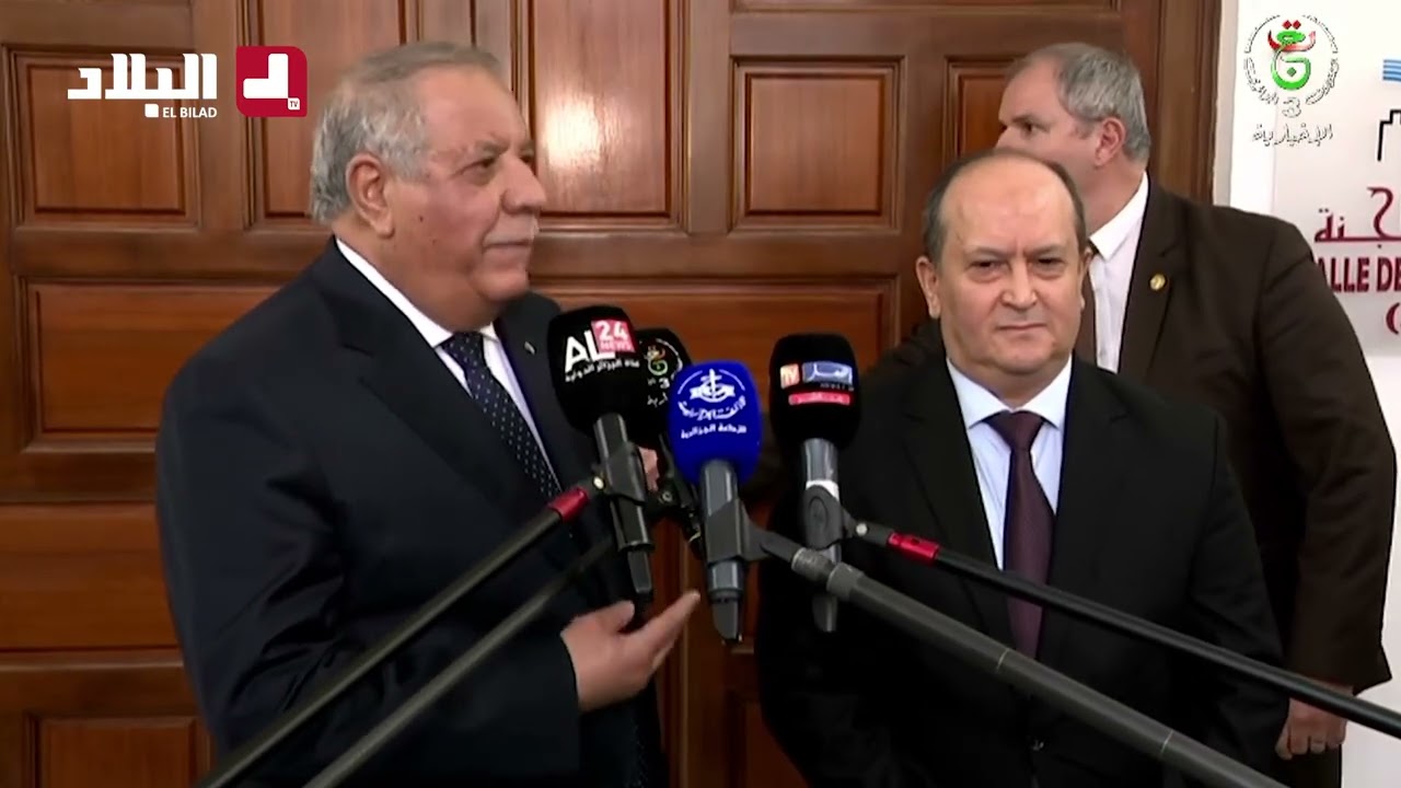 مدير ديوان رئاسة الجمهورية يوضح سبب تأجيل النظر في مشروعي قانوني التعديل التقني للدستور