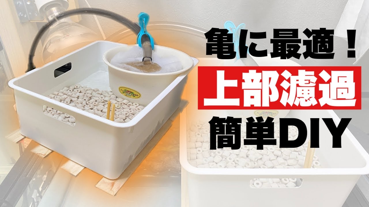 【フィルター自作】亀飼育に最適な上部フィルターを、１００均アイテムを使って自作しました！メンテ楽々、濾過能力バッチリ、低水位でも使えます！【亀飼育】