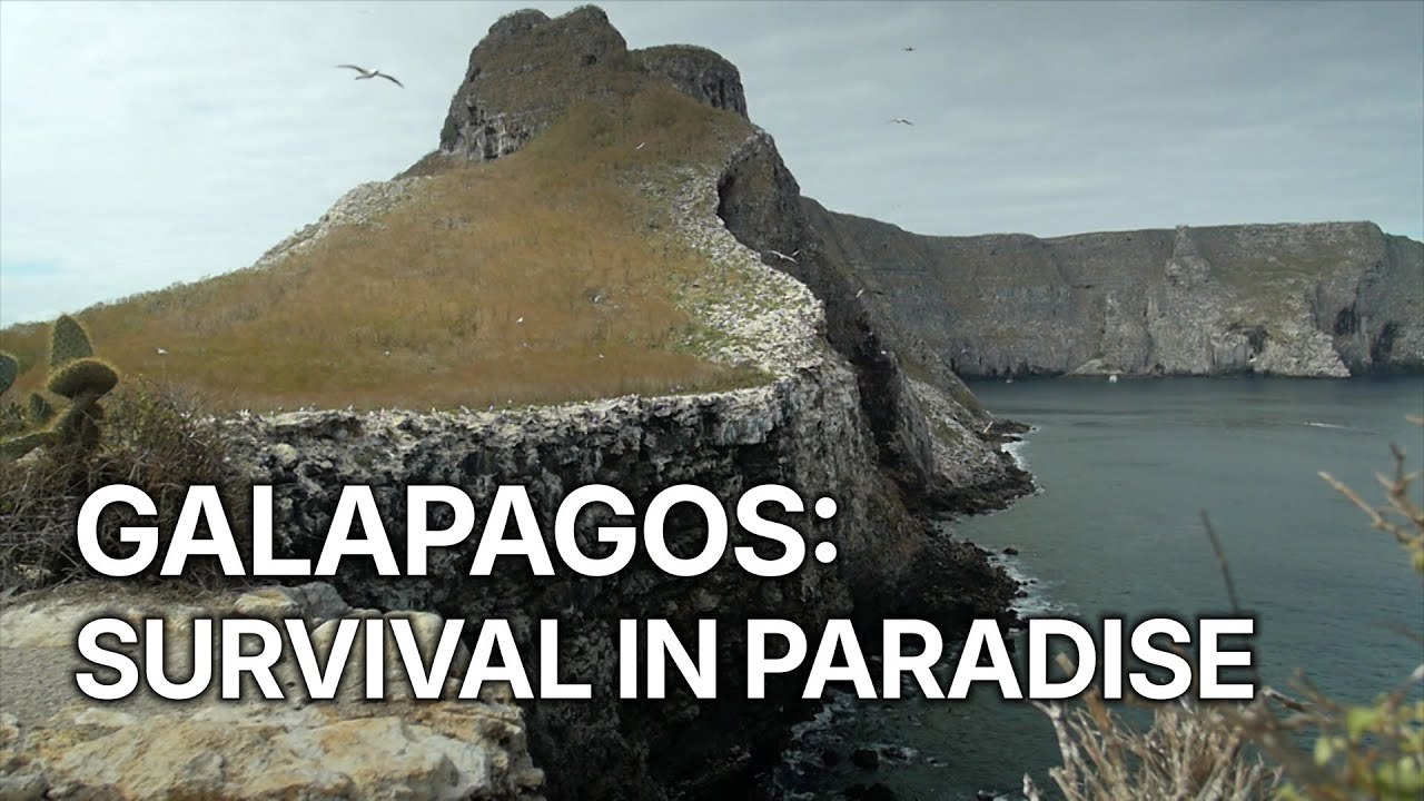 Wild Galapagos - Trapped in Paradise | Survival in Paradise