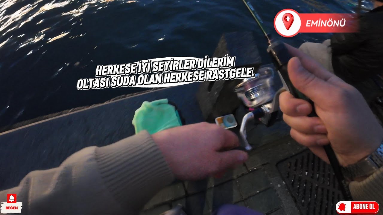 İstanbul Eminönü  Lrf ile balık avı  #istarvit #istarvitavı #atçek #fishing #fish
