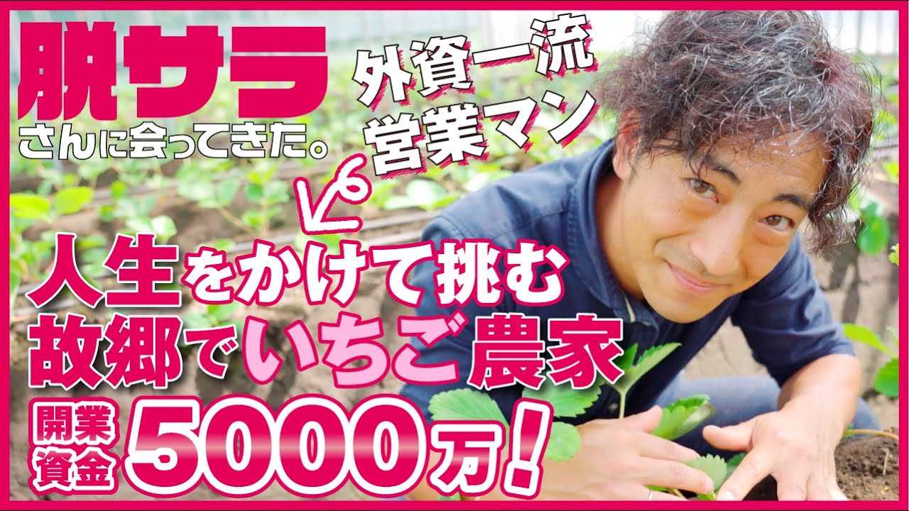 【売上2,500万！？】営業マンから脱サラしてイチゴ農家に！！農業の始め方！！【ドキュメンタリー】