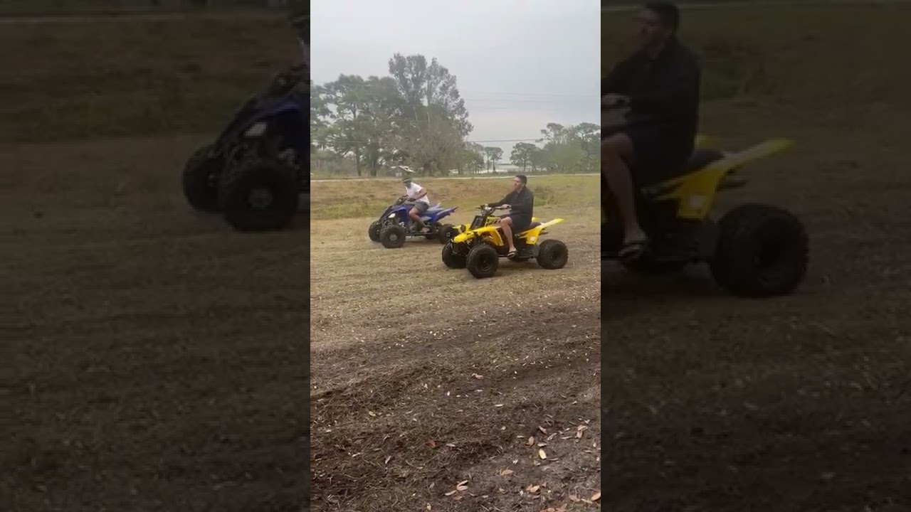 Banshee vs Raptor 700