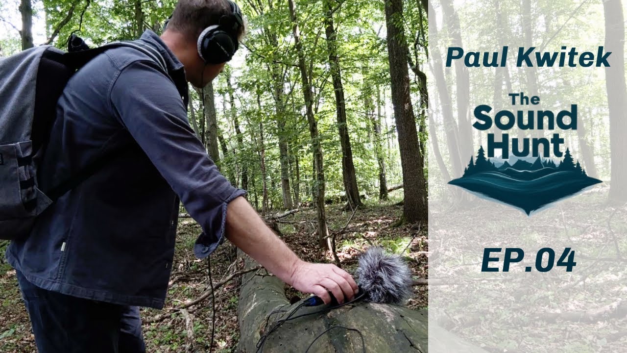 The Sound Hunt – Ep. 04 | Recorded Giant Hornets and Strange Animal Sounds
