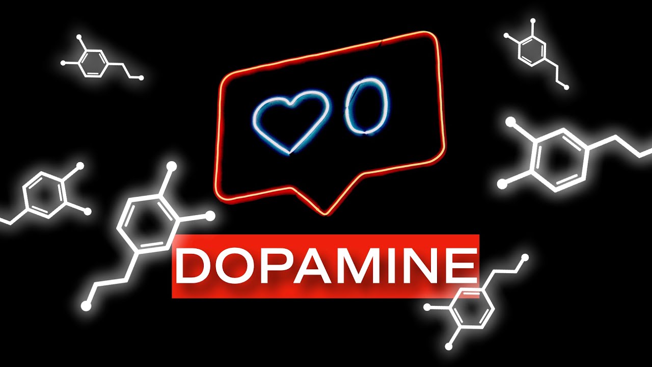 La DOPAMINE n'est pas totalement celle que vous croyez