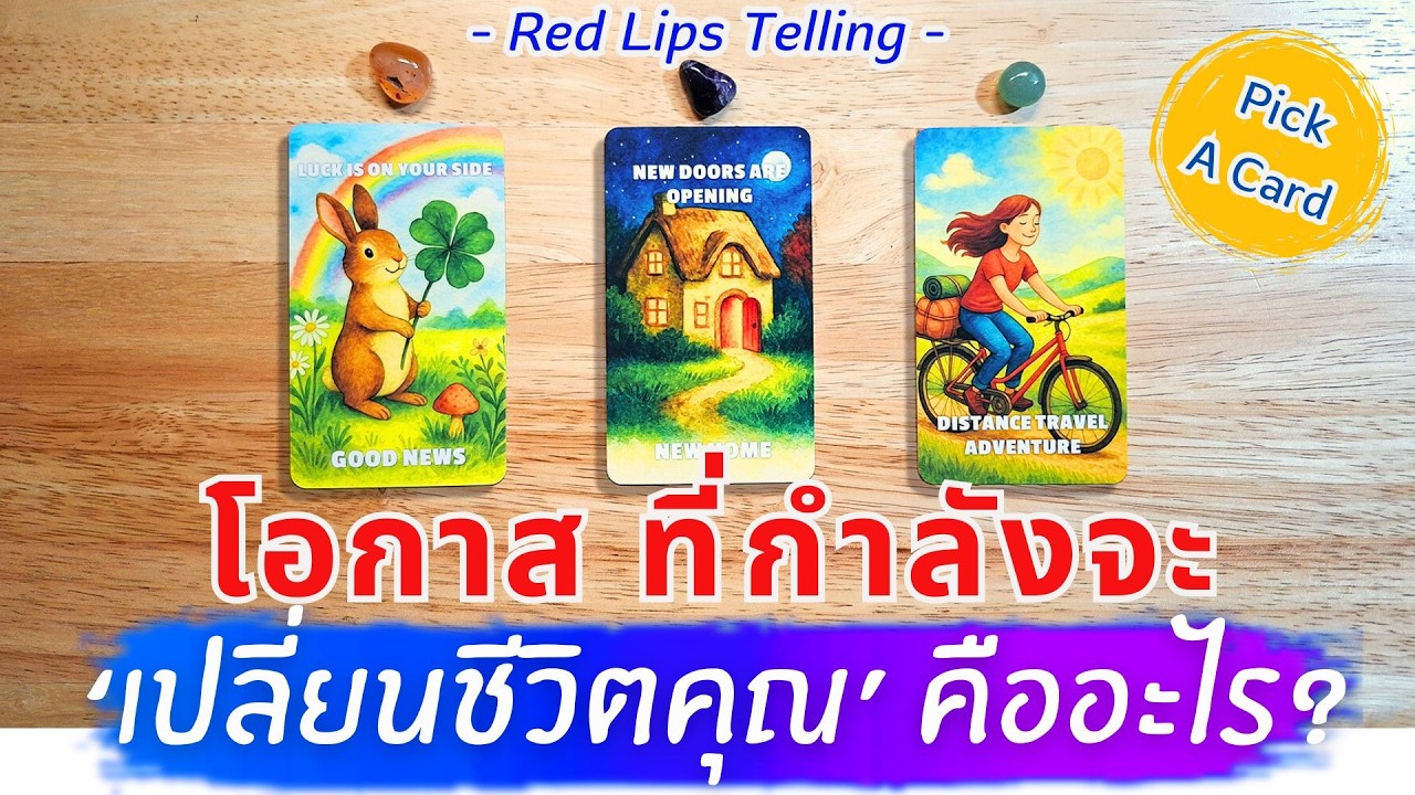 Pick A Card : โอกาสที่กำลังจะเปลี่ยนชีวิตคุณคืออะไร? [ Timeless ]