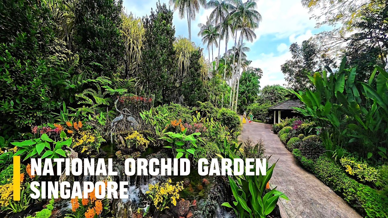 Discover the National Orchid Garden in Singapore A Floral Paradise in the Heart of the City 