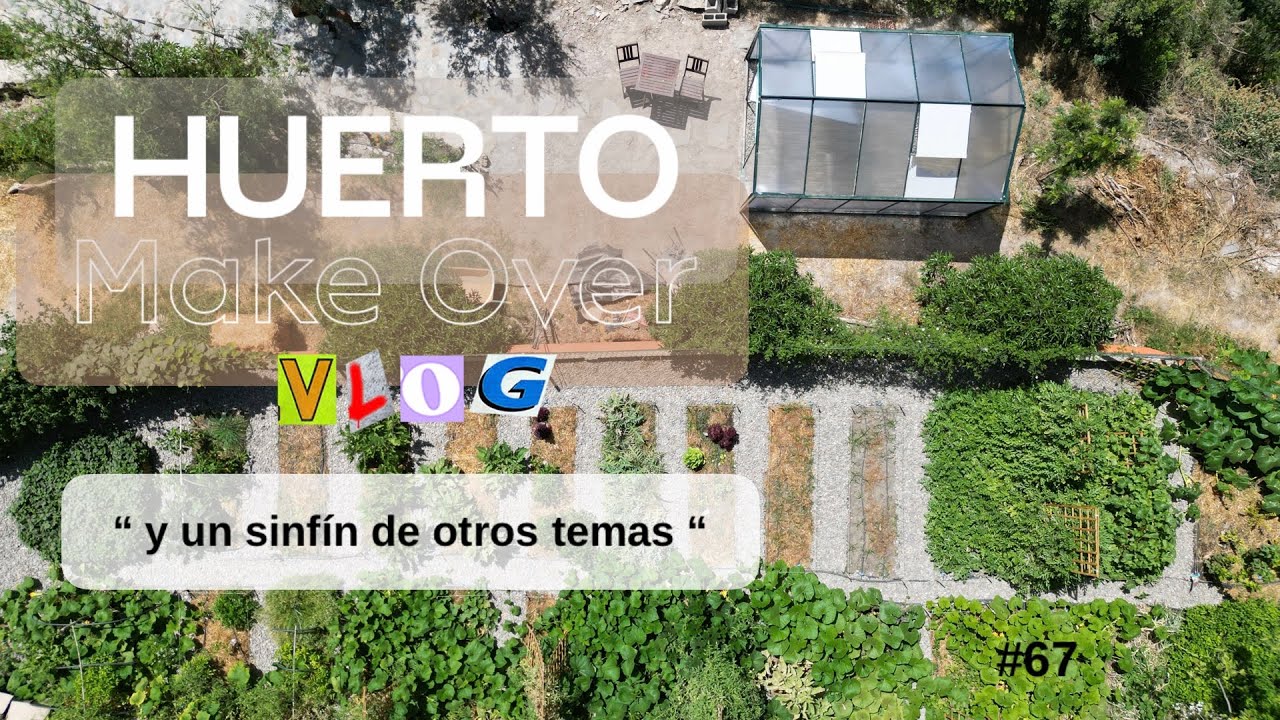 #67 | Nuevo look del huerto, cosechas de verano 🍅+ Luz Casal en concierto 🎤 + Invernadero 🔧 + 🧄🧅