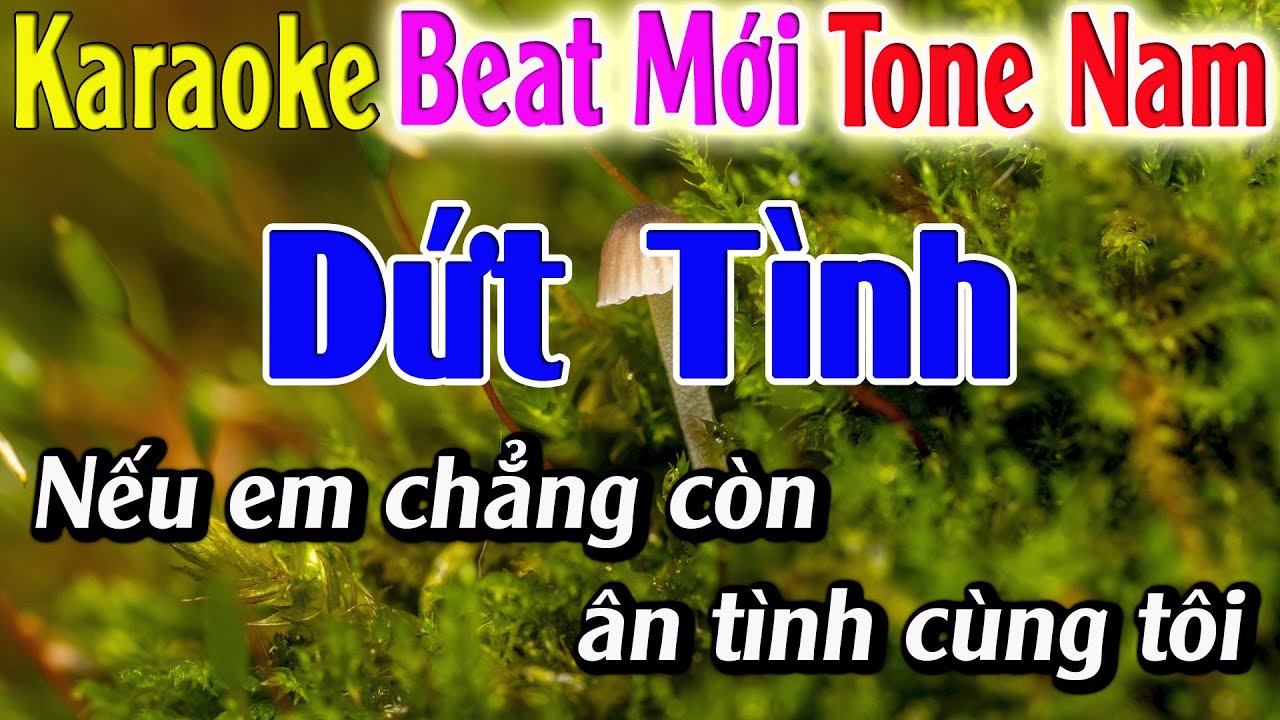Dứt Tình Karaoke Tone Nam Karaoke Hải Nhạc Sống - Beat Mới