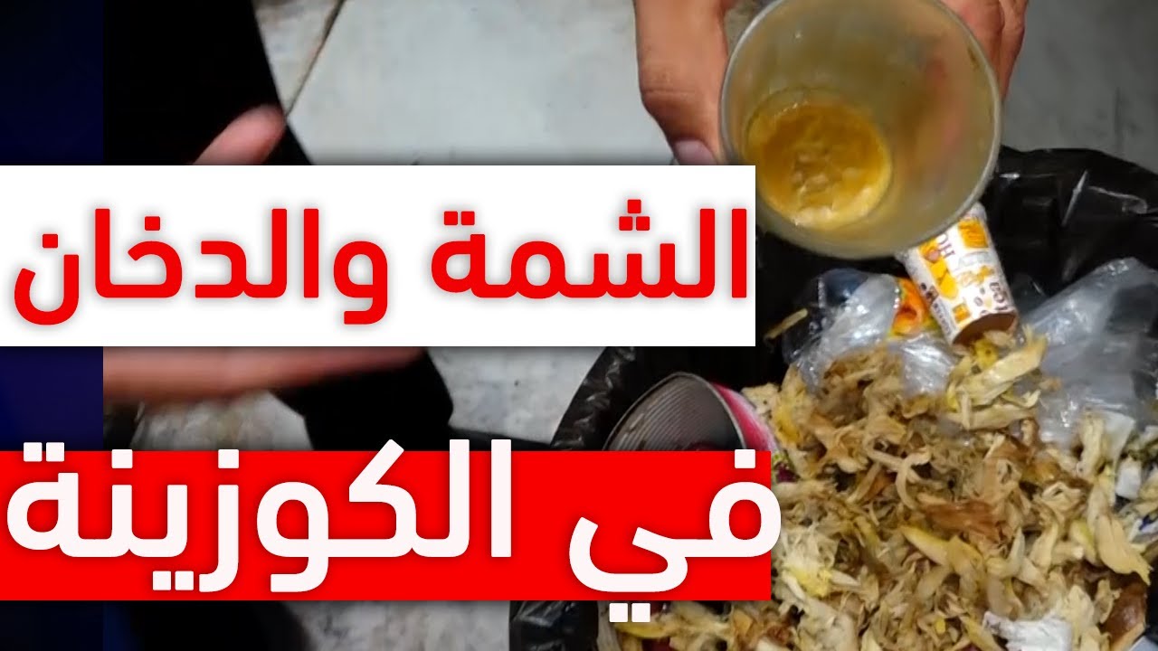 الشمة والدخان ممنوعين..شاهد ماذا وجد أعوان الرقابة عند مداهمة محل للوجبات السريعة في تيبازة 😱