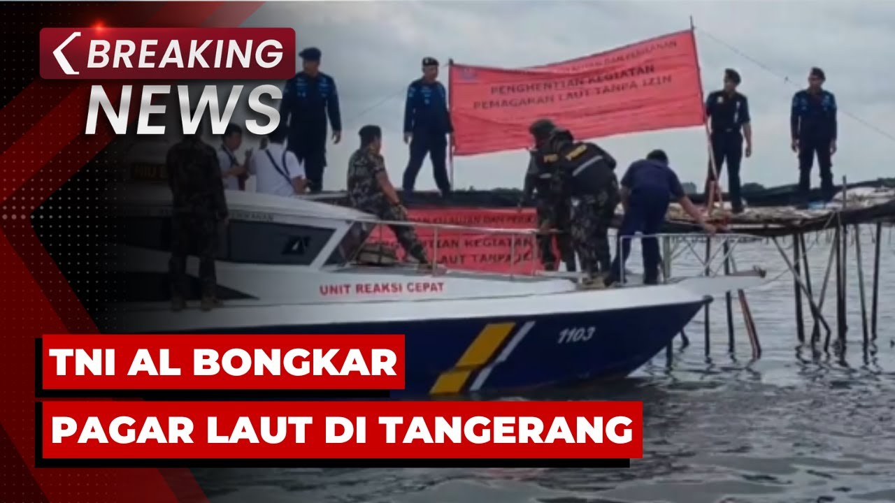 BREAKING NEWS - TNI Angkatan Laut Bongkar Pagar Laut di Tangerang