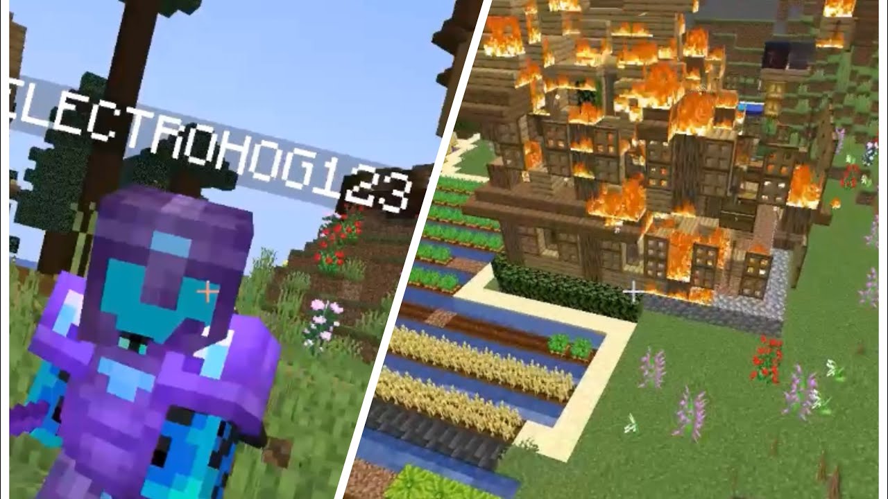 POV: 1 Item goes missing on the MINECRAFT Server..