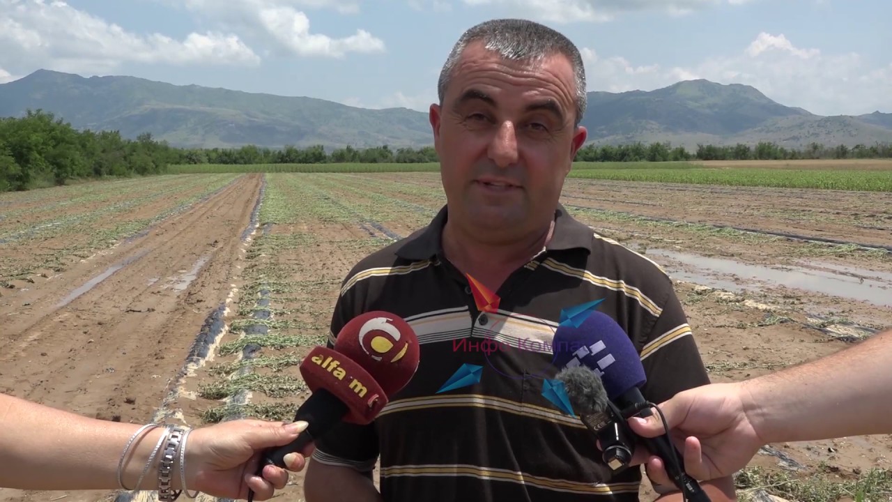 Над 2.000 хектари кај Канатларци и Ерековци уништени во катастрофалното невреме