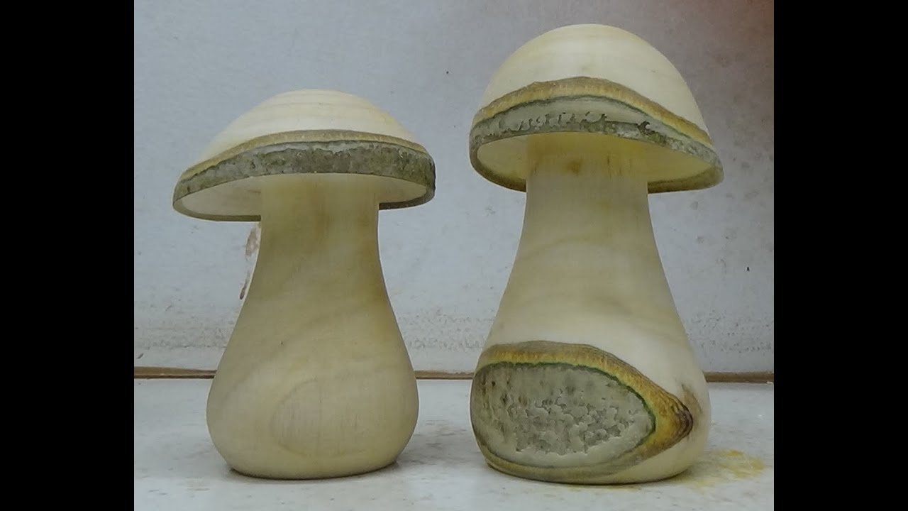 Tournage d'un champignon