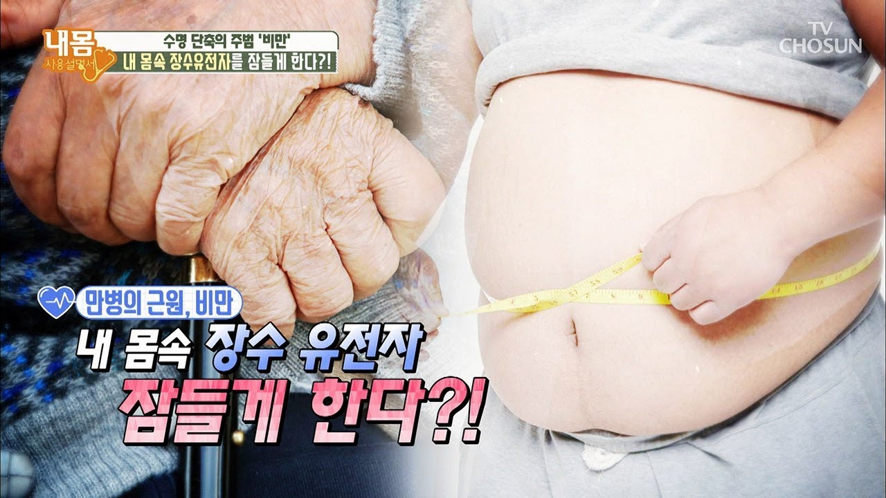 만병의 근원 비만! 내 몸속 장수 유전자 잠들게 한다?! [내 몸 사용설명서] 217회 20180907