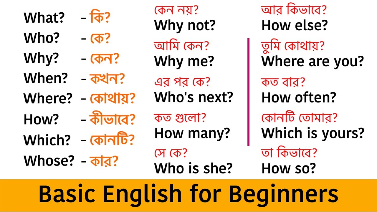 Basic English for Beginners || English Question Making Tips for Beginners || Most Common Questions