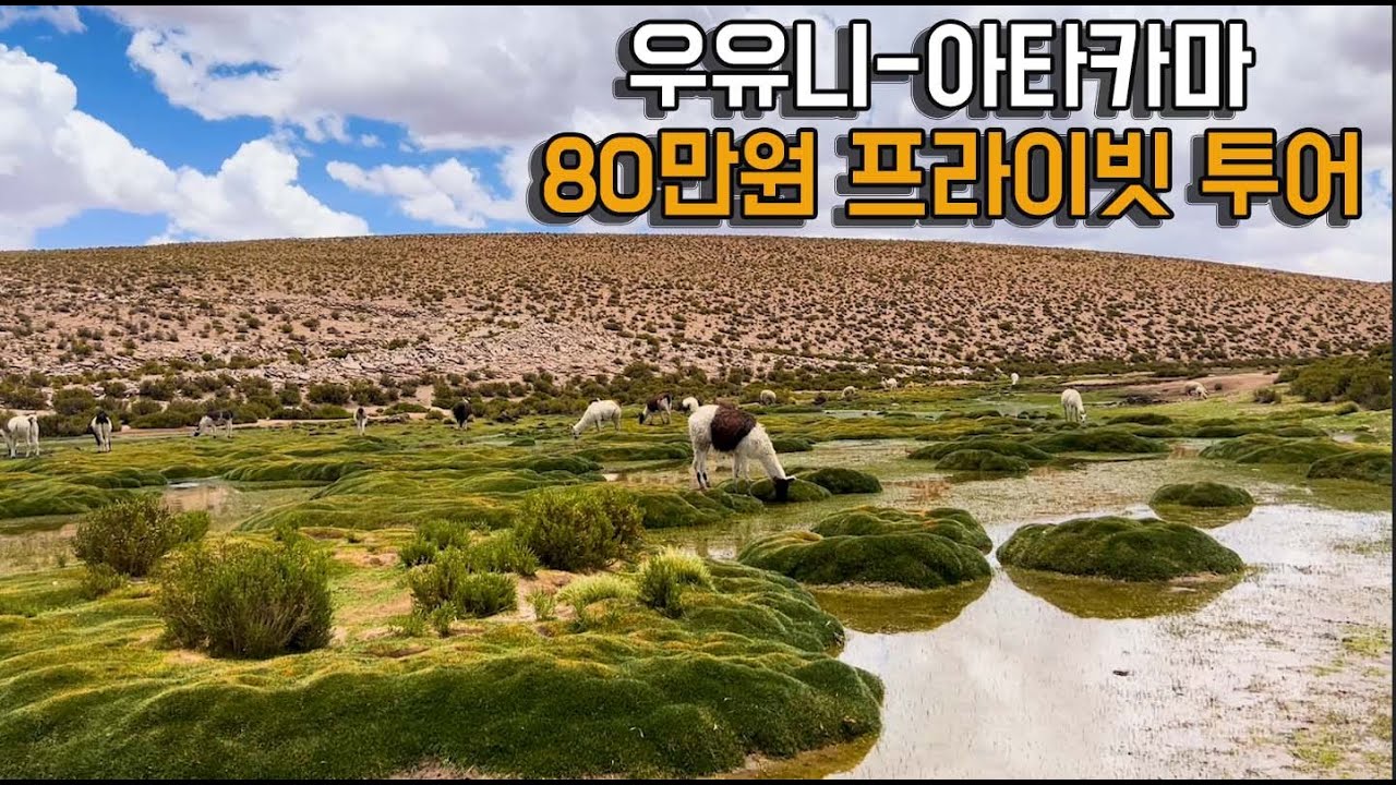 🇧🇴🇨🇱80만원짜리 아타카마 사막투어 랜선체험 【남미.11】ㅣ여자 둘이 남미 배낭여행 / 내셔널지오그래픽 뺨치는 투어 언니 나 혀가 이상해..
