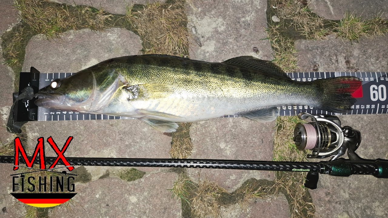 Angel VLog #05 Hochwasser Zander mit Wobblern/ kein Trout Area