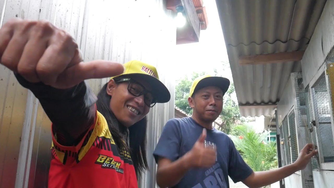 KANDANG TERNAK MAS AGUS HALLNTAR PEKALONGAN
