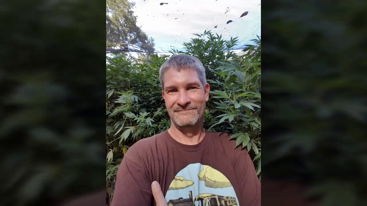 Growing Within The Emerald Triangle  (July 2018) Humboldt County, CA.