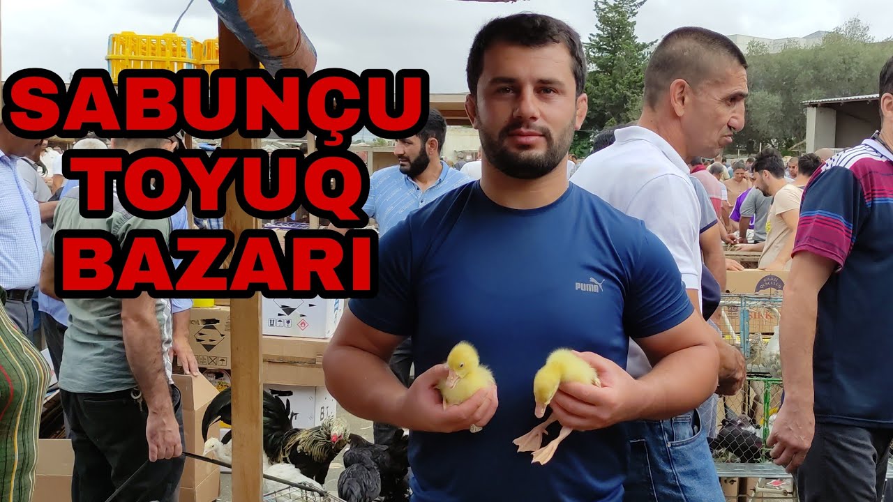 Sabunçu Toyuq Bazarı #elixezer #sabuncubazari #sabuncutoyuqbazari