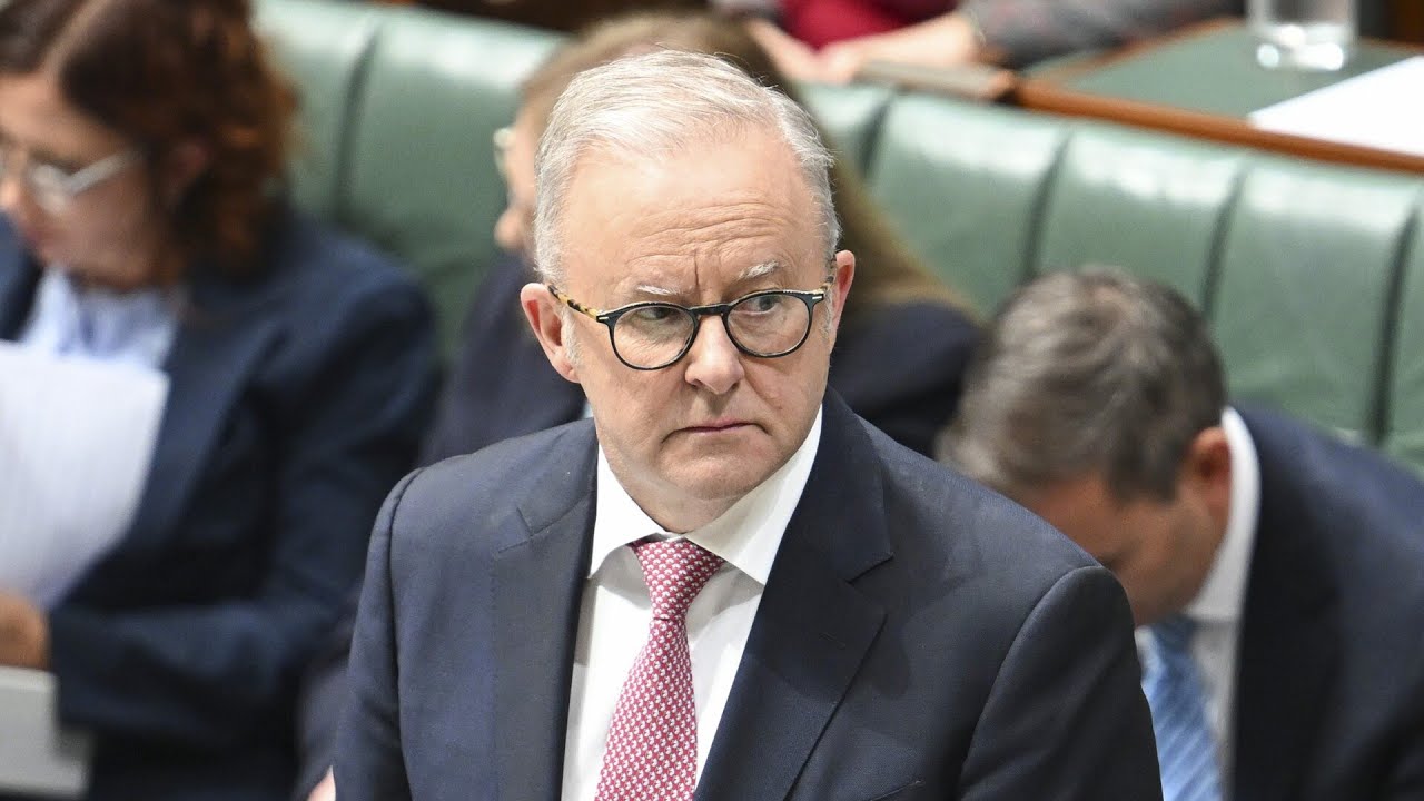 &lsquo;Complete lack of transparency&rsquo;: Albanese dodges questions on petrol station fuel shortages
