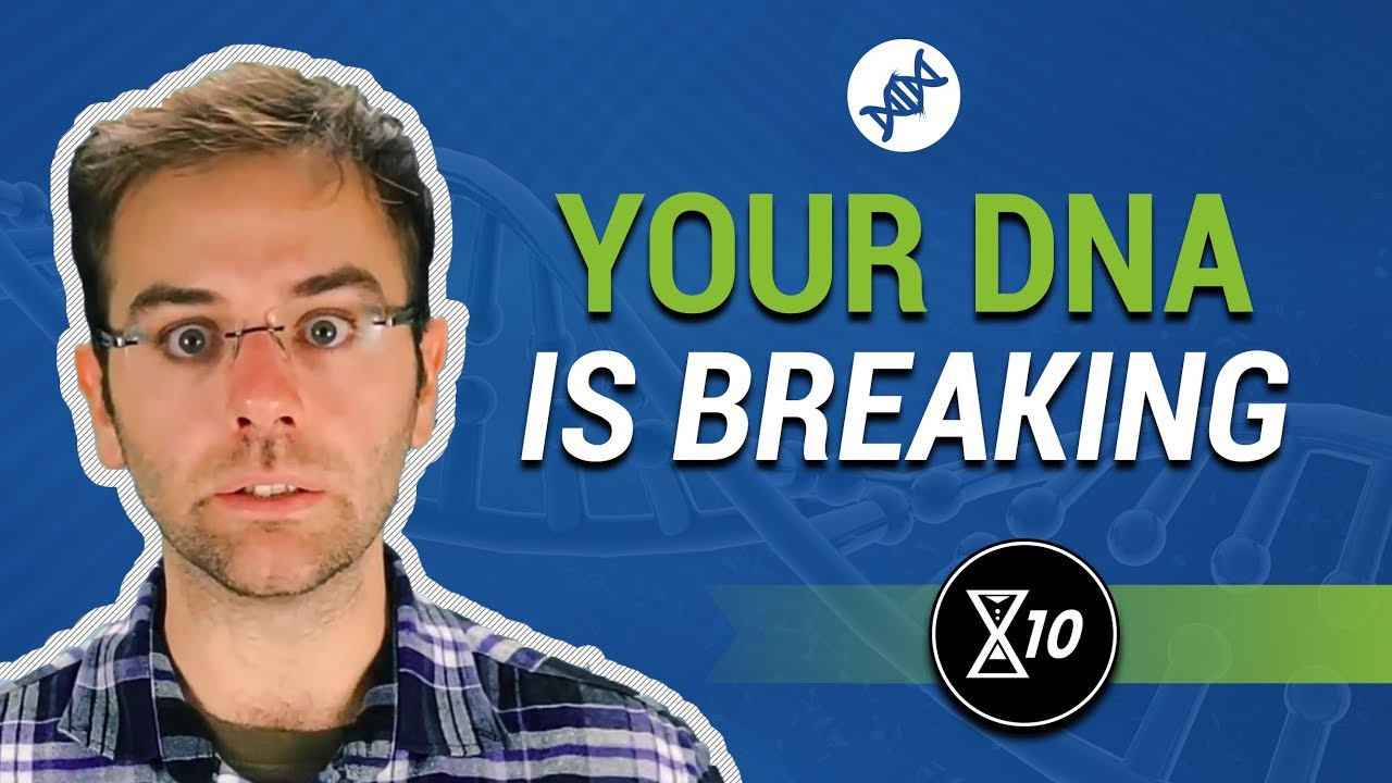 The Hallmarks of Aging: Genomic Instability | LifeXtenShow