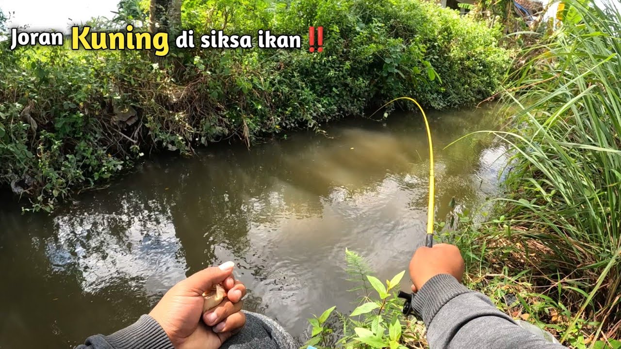 Begini jadinya‼️Nekat mancing di siang hari‼️