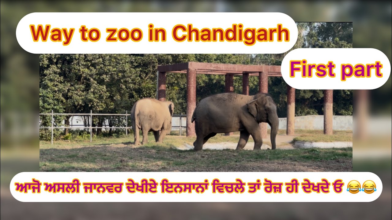 ਛੱਤਬੀੜ ਚਿੜੀਆਘਰ ਚੰਡੀਗੜ੍ਹ-1st part 