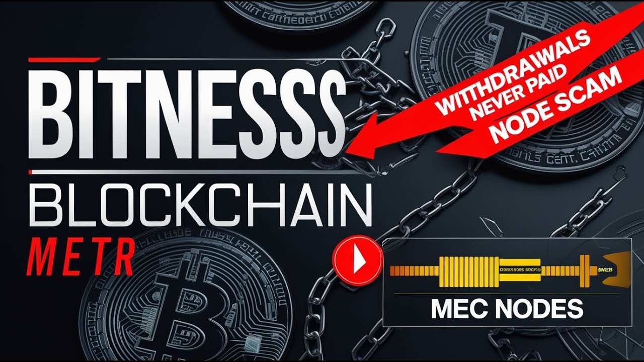 Обзор мошенничества с блокчейном Bitness: законно это или мошенничество?
