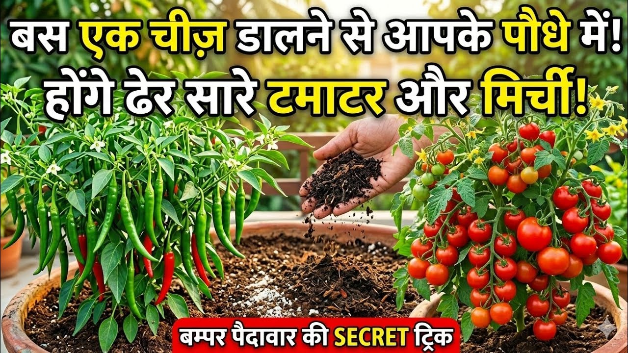 Part 1 Ghar par banayein muft ki khaad (Organic Fertilizer) ♻️#gardening#organicgardening #shorts .