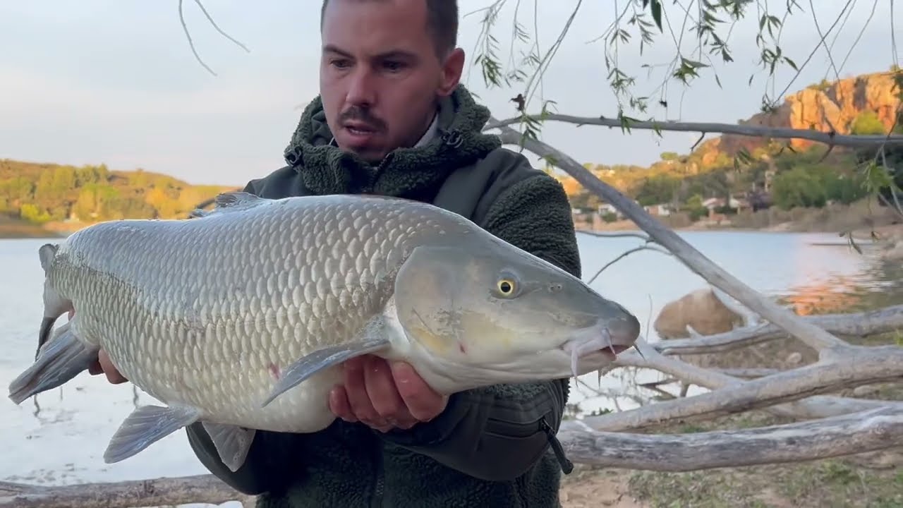 Carpfishing Ruidera lake / UN PEZ DESEADO