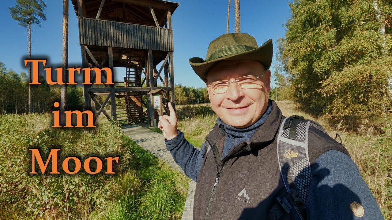 Wandern zum Turm im Moor ( Moorlehrpfad Pöllwitzer Wald (Vogtland)) I Rettet 