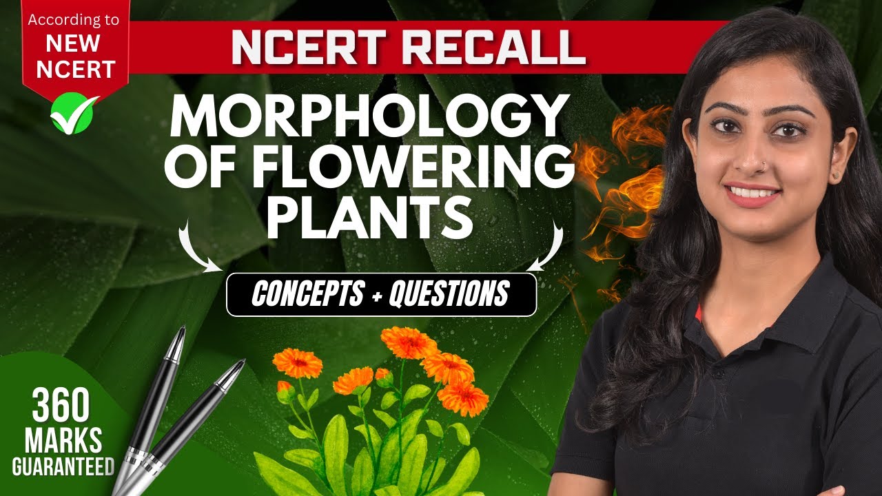 Morphology of flowering plants | Concepts + Questions | NCERT RECALL | NEET 2024