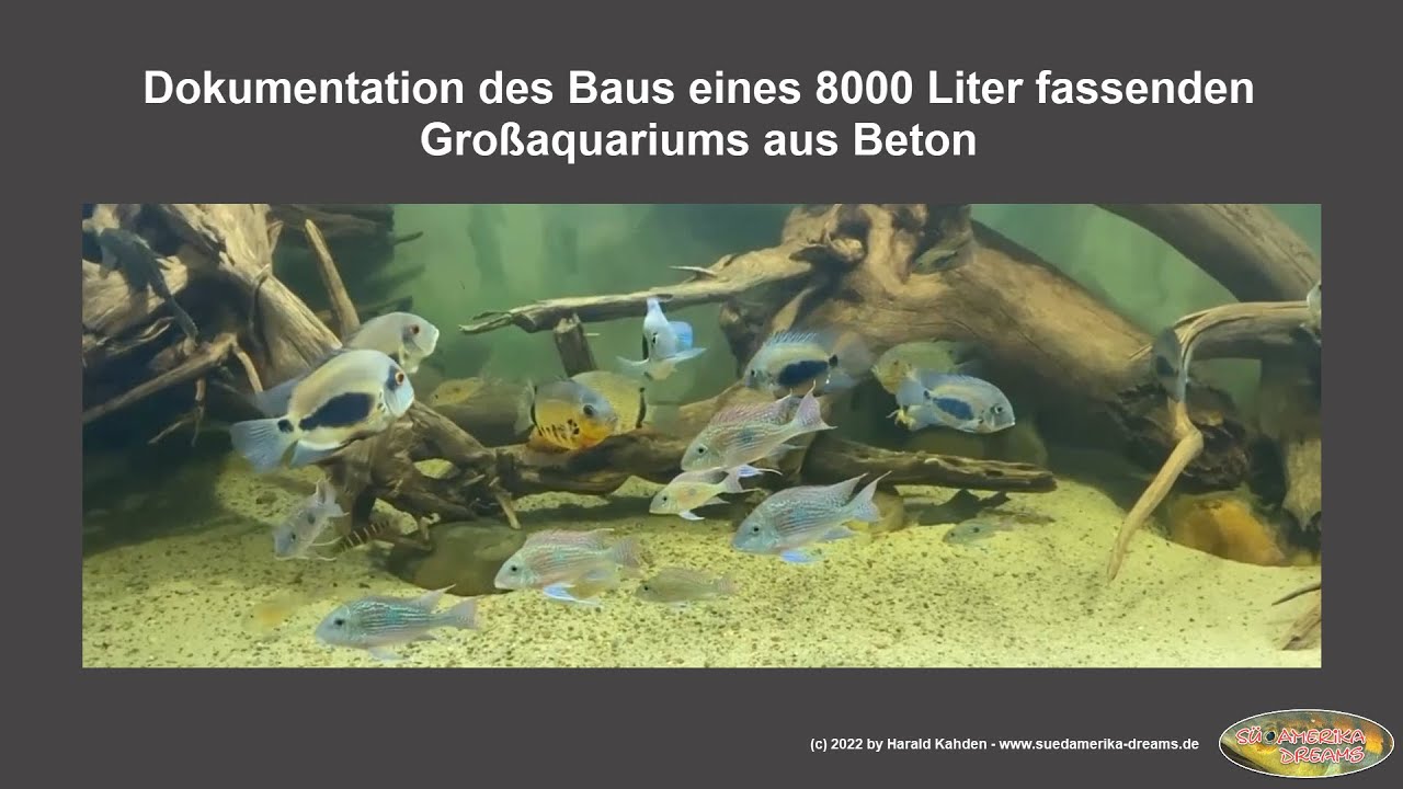 Bau eines 8000 Liter fassenden Groß-Aquariums mit einem Besatz aus Südamerika-Cichliden