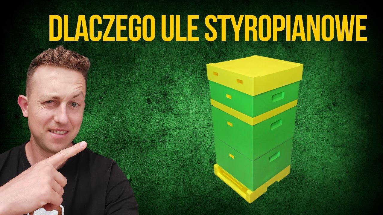 Dlaczego styropianowe ule ?