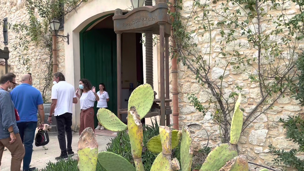 Visita in cantina nella tenuta Sallier de La Tour a Camporeale