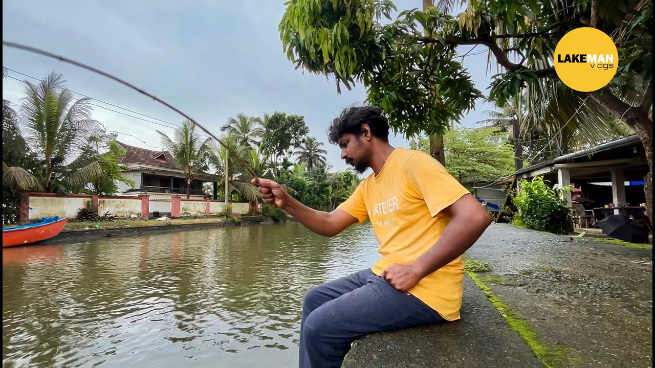 നാടൻ ചൂണ്ട കൊണ്ട് ഇത്രയും മീൻ പിടിച്ചിട്ടുണ്ടോ ? 🎣 🦈🐟Kuttanadu Village Fishing I Fishing  #fishing