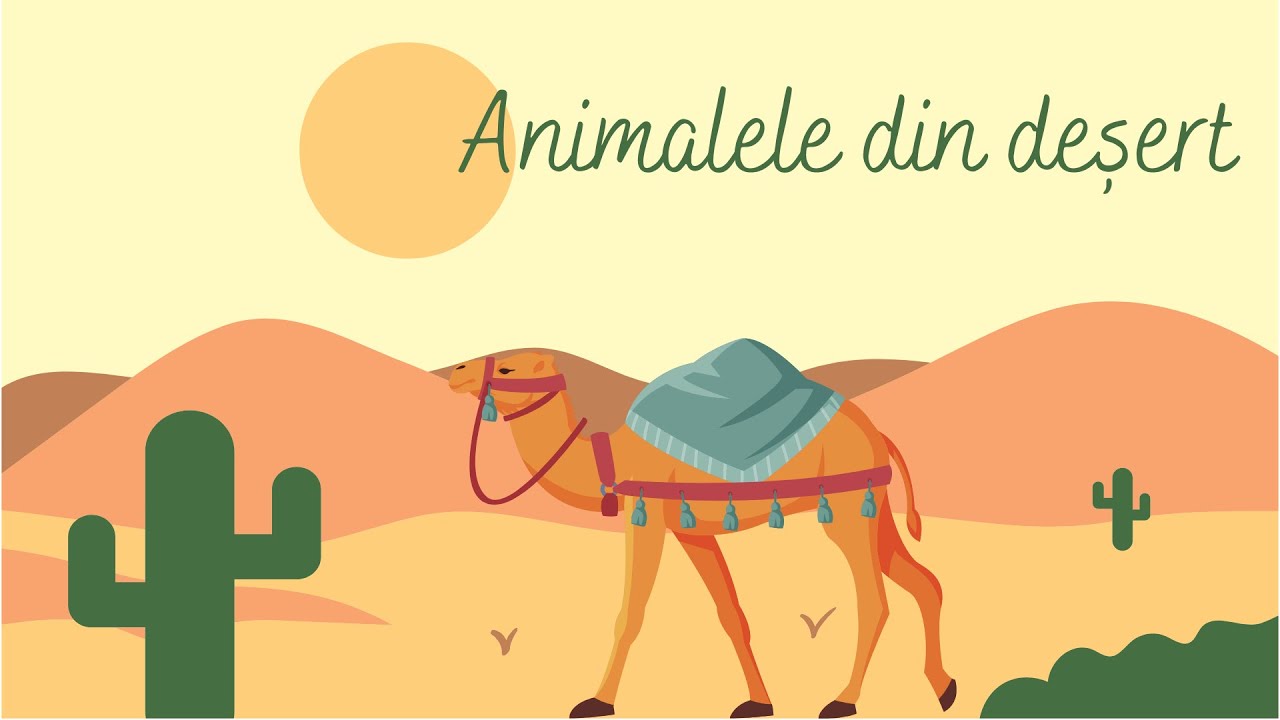 ANIMALELE DIN DEȘERT | Curiozități